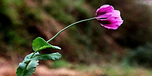 Fami通本周游戏评分 《战地2042》获32分黄金殿堂评价